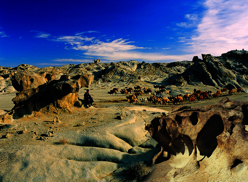   The wind erosion geomorphology scenic spot of Haisen Chu Lu