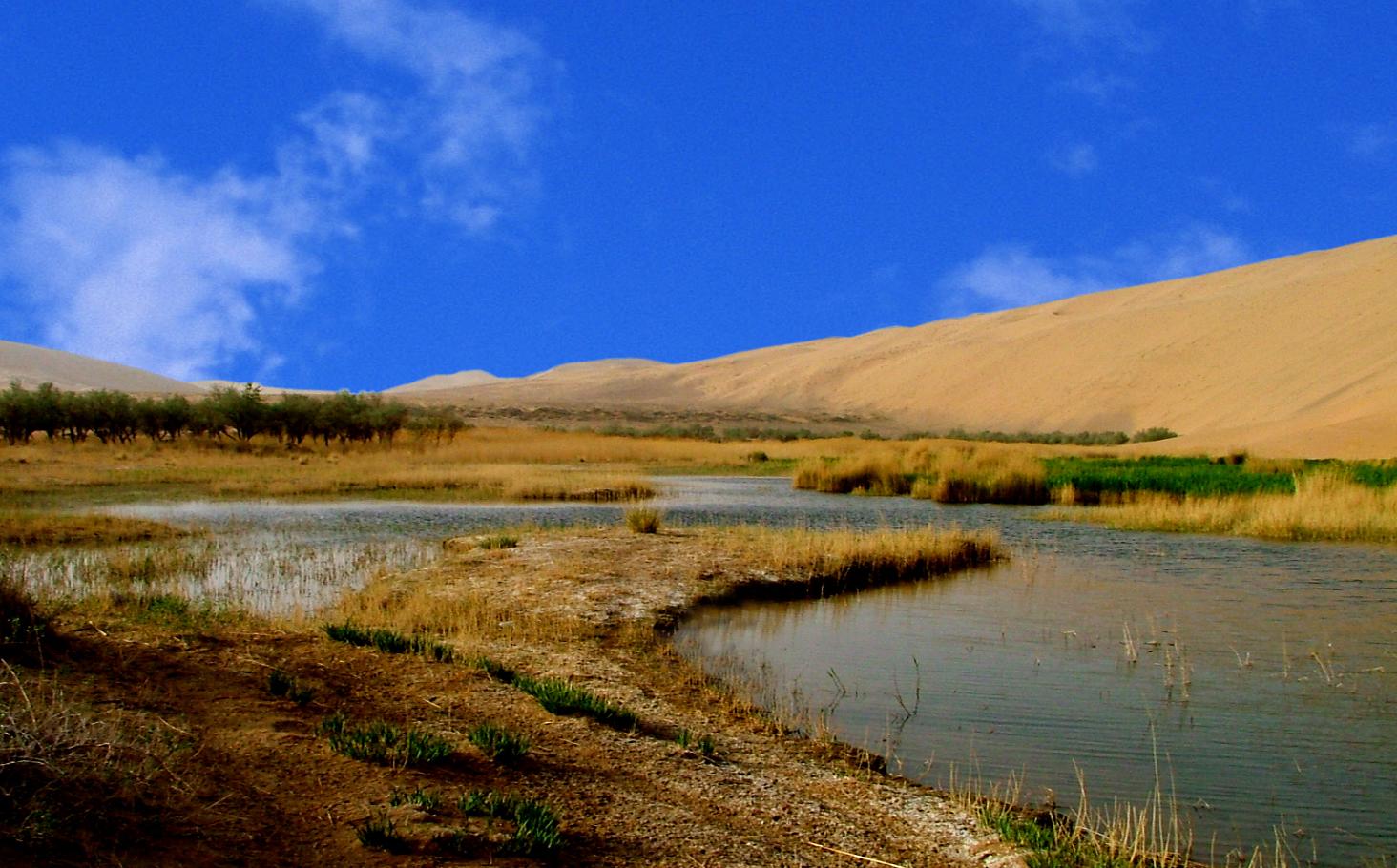 通湖景区.jpg