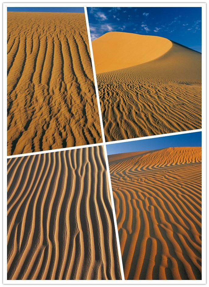 6372463859155816052483494.jpg