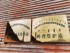 12--组织开展探索贺兰山——研学科普活动368.png